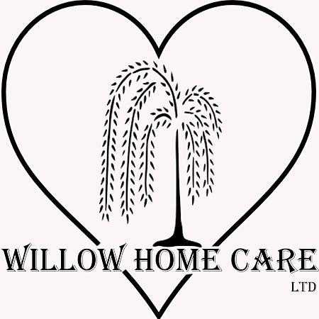 Willow Home Care Ltd cover