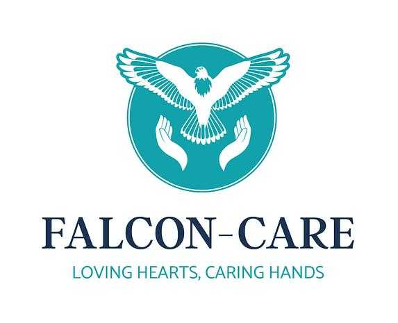 Falcon-Care cover