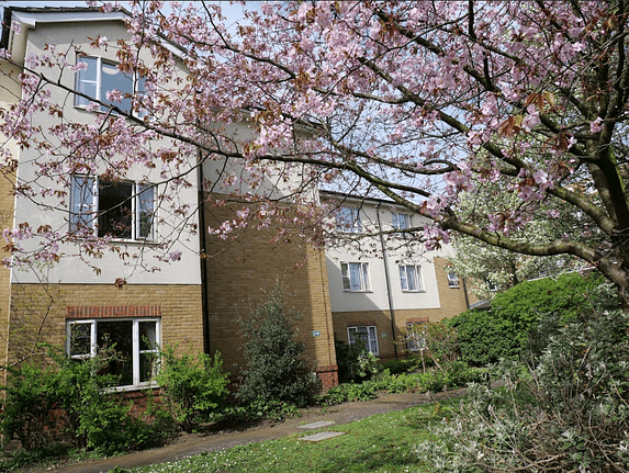 Bluegrove House cover