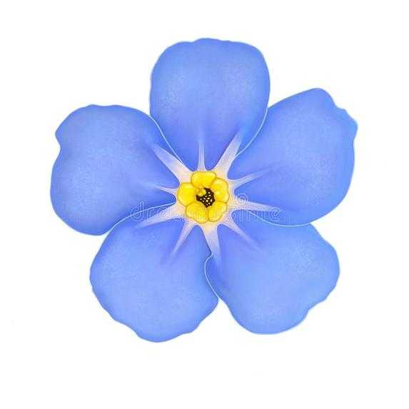 Forget Me Not Care Providers Ltd cover